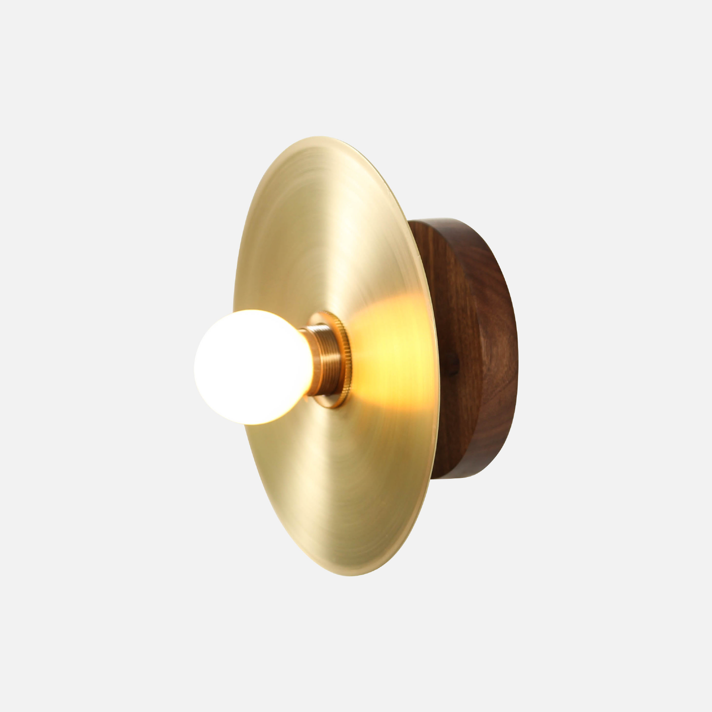Galileo Sconce 8"