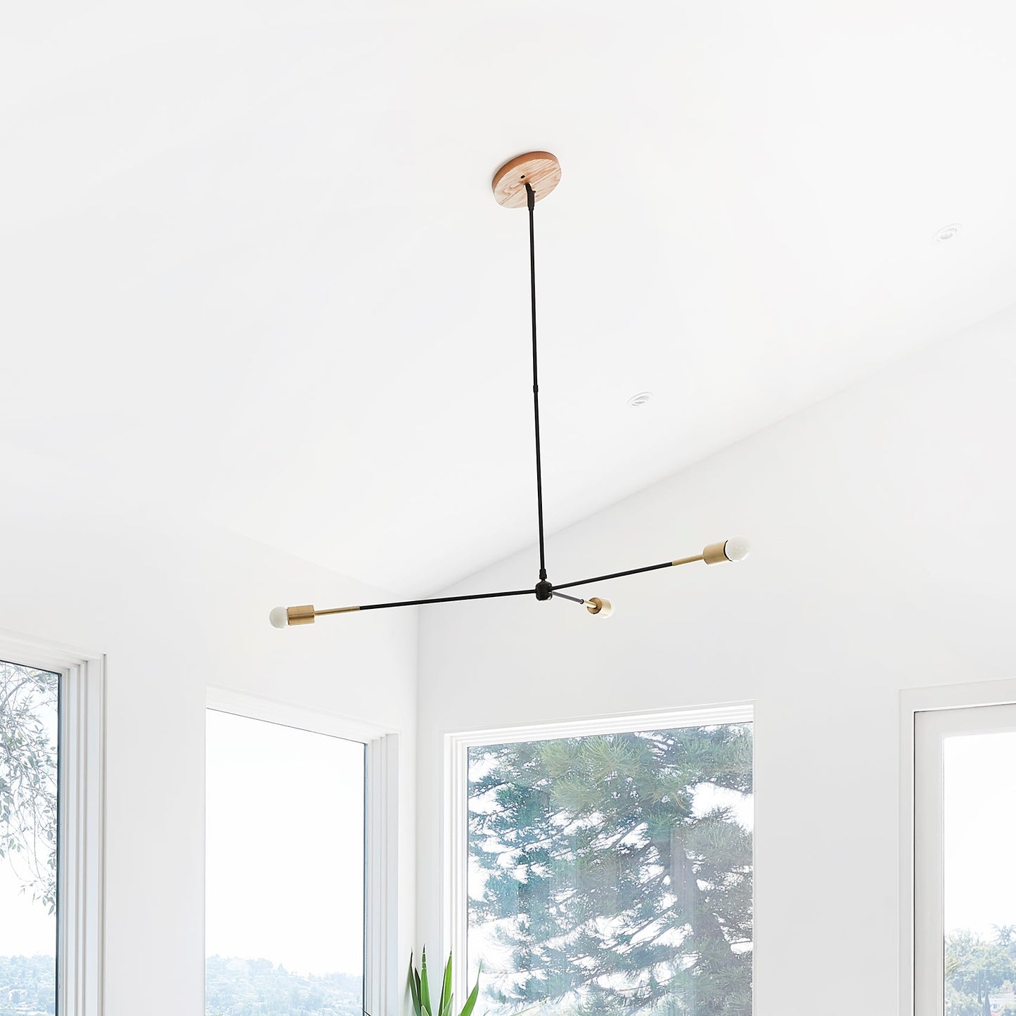 Canopy Swivel for Sloped Ceiling