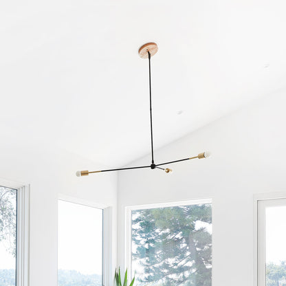 Canopy Swivel for Sloped Ceiling